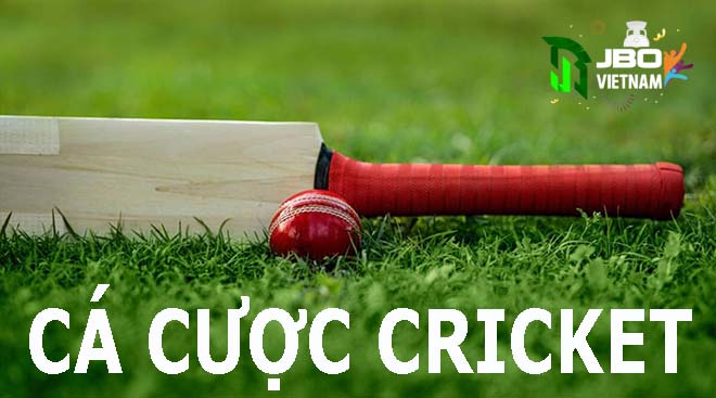 Làm sao để chơi cá cược Cricket tại nhà cái Jbo hiệu quả